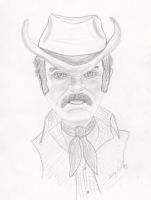 Cowboy hero